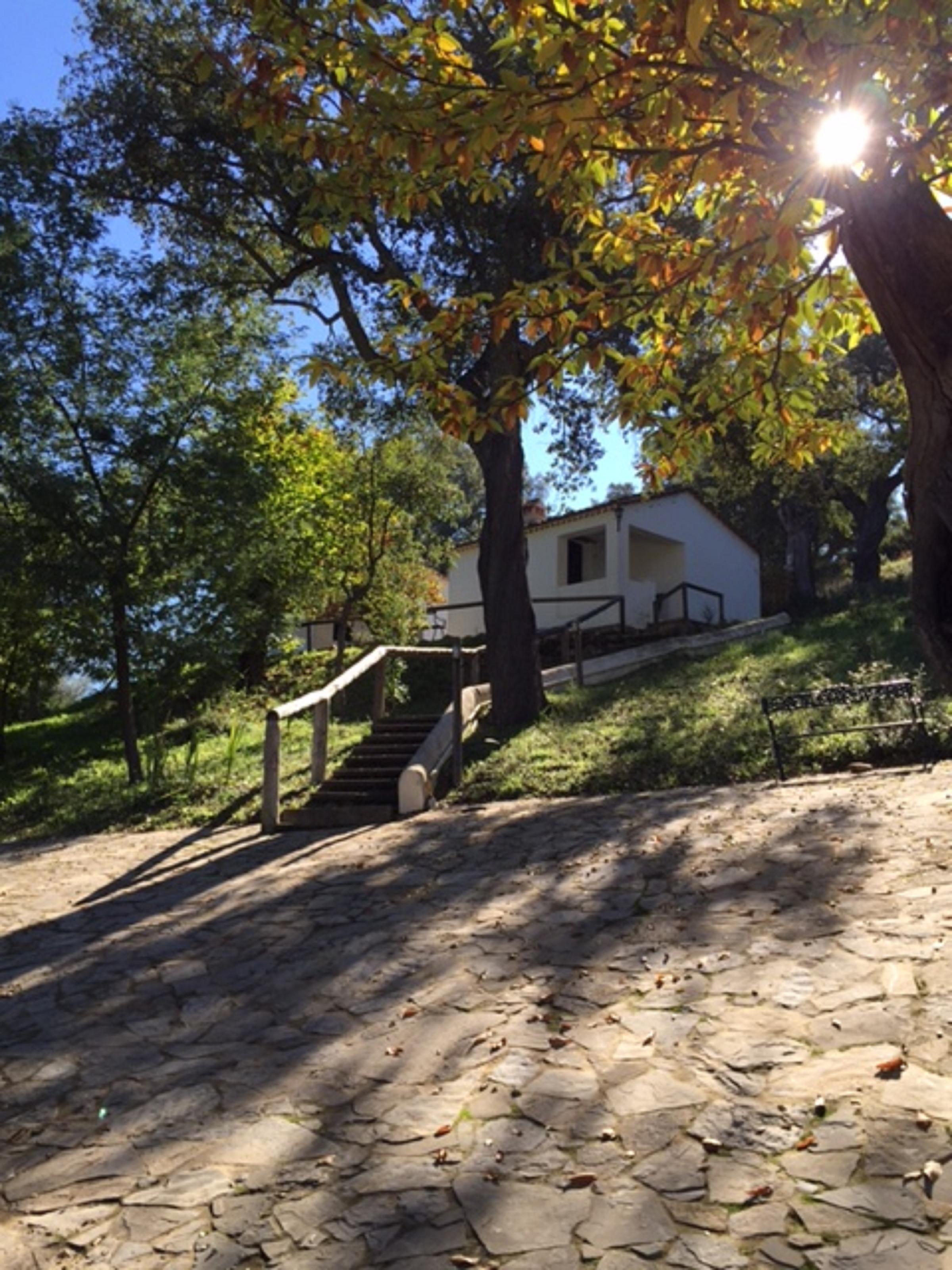 Finca Valbono 28/49
