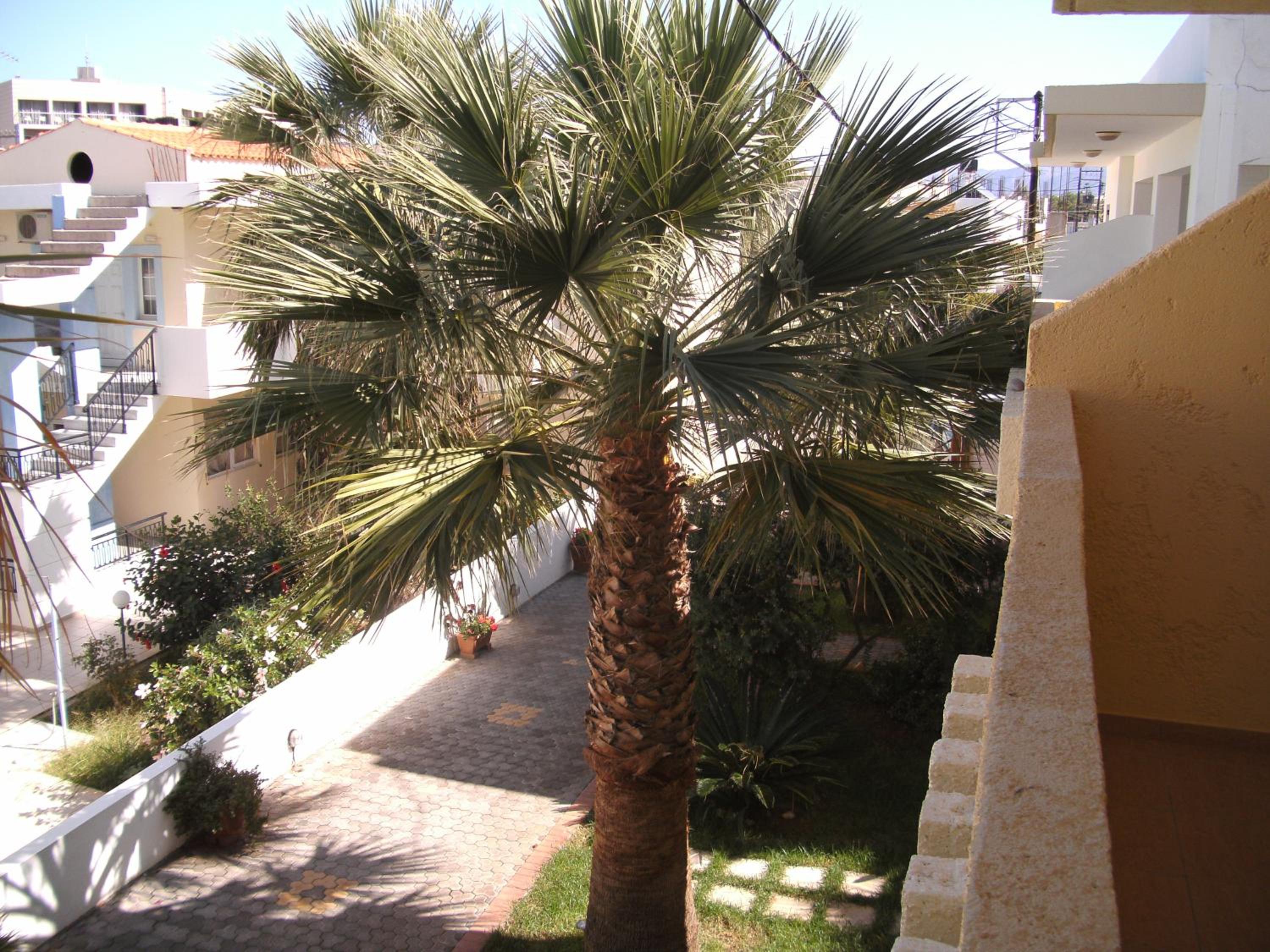 Lia Sofia Apartments 39/54