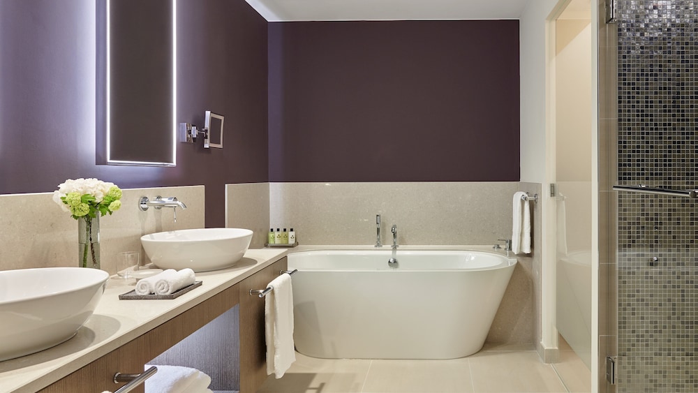 InterContinental Lyon - Hotel Dieu by IHG 18/79