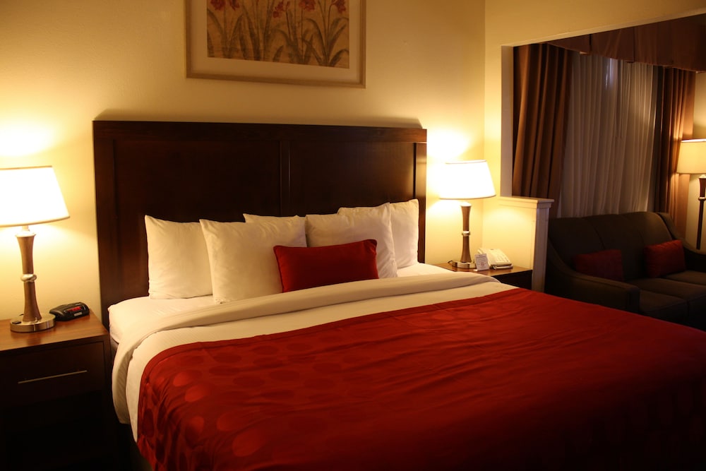 جناح بسرير كينج بغرفة نوم واحدة، Ramada By Wyndham Denver International Airport 5/8