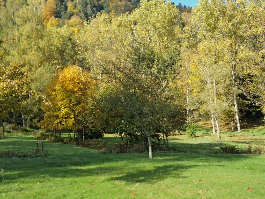 HOTEL SPA LOGIS DOMAINE LANGMATT 16/23