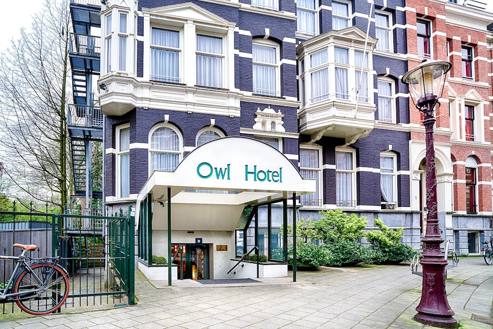 Owl photo1