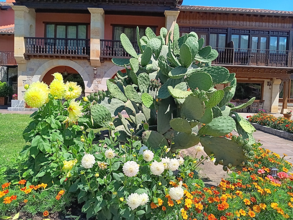 Hotel Finca Malvasia 6/60