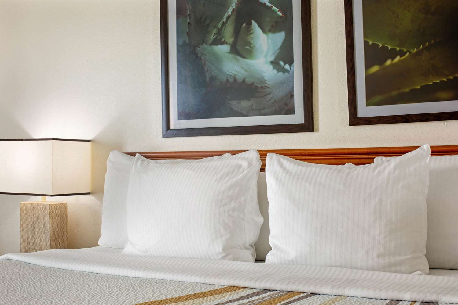 La Quinta Inn & Suites by Wyndham Sawgrass 23/55