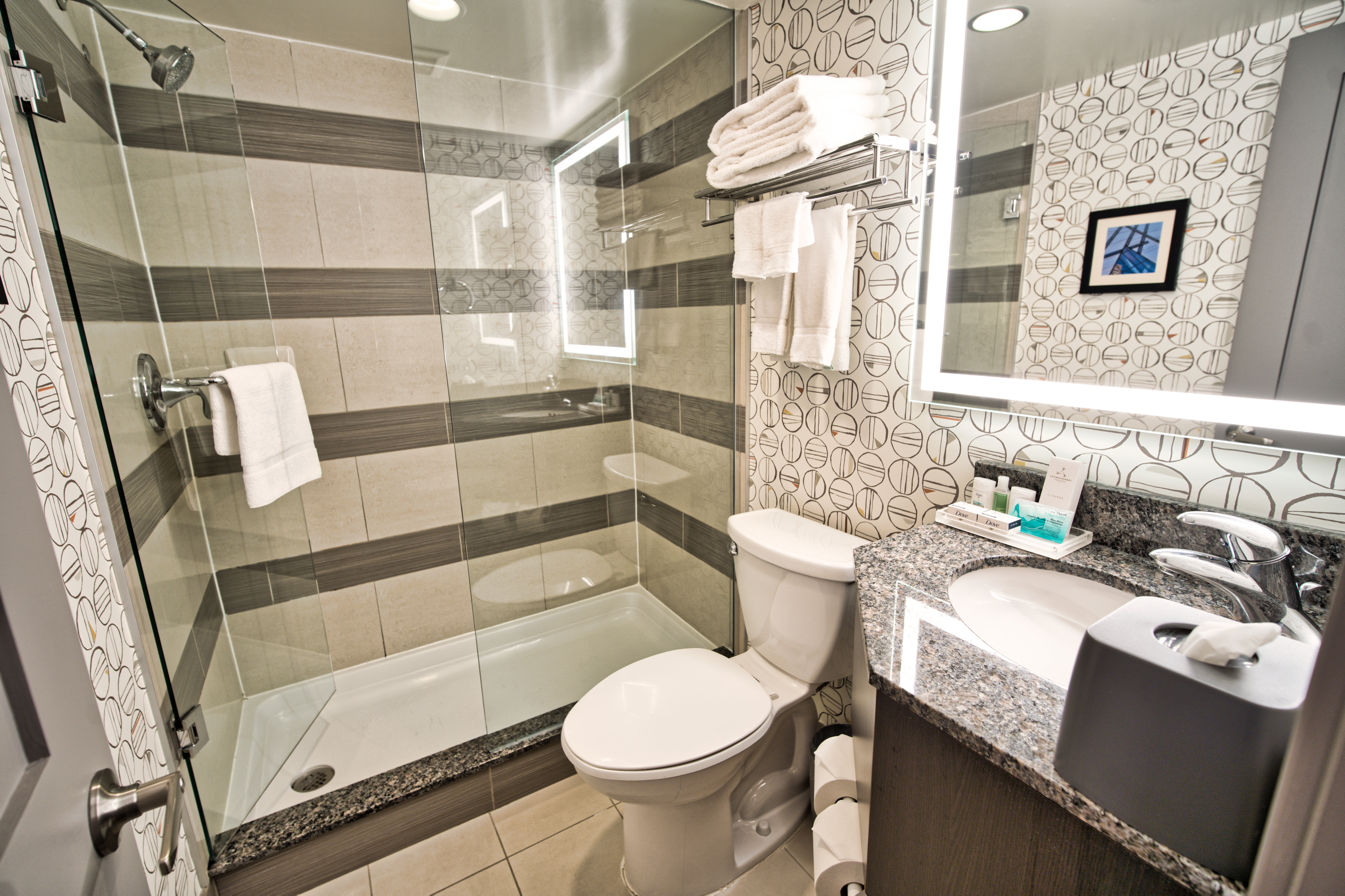 HOLIDAY INN TORONTO DOWNTOWN CENTRE 78/79