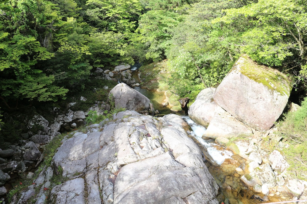 Yakusugi House 16/44