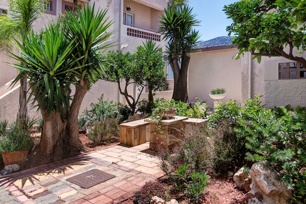 Le Palme Malia 45/50
