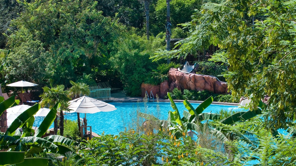 Disneys Animal Kingdom Lodge 41/50