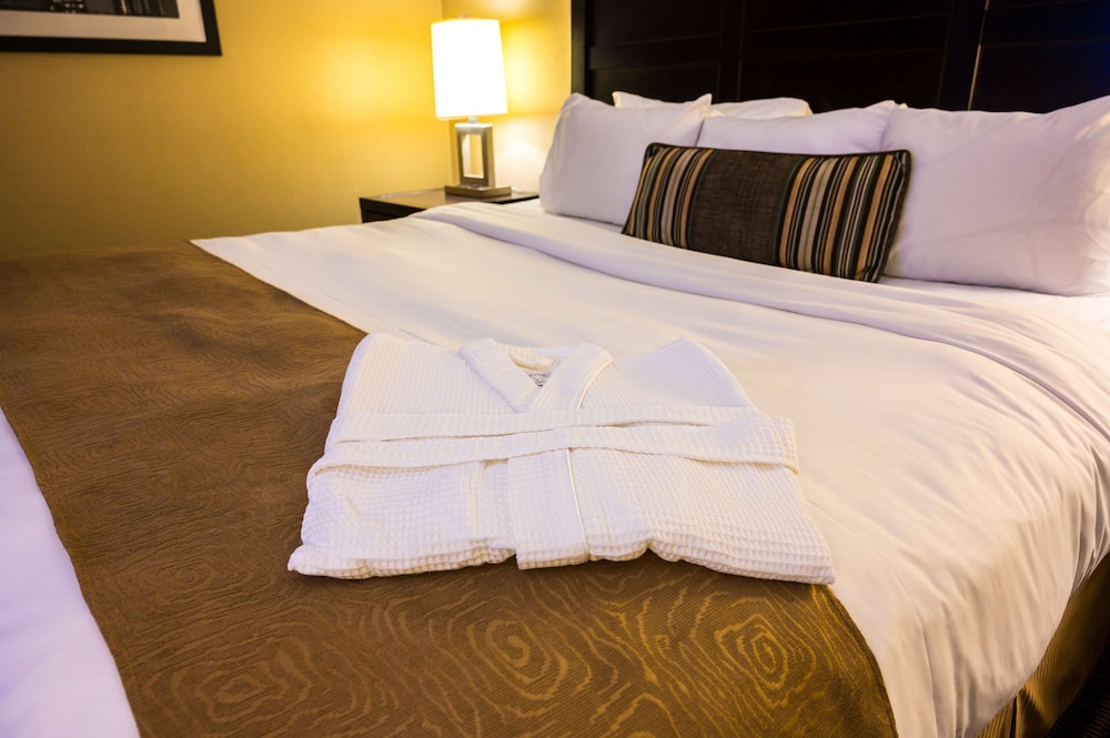 Wyndham Edmonton Hotel and Conference Centre 17/57