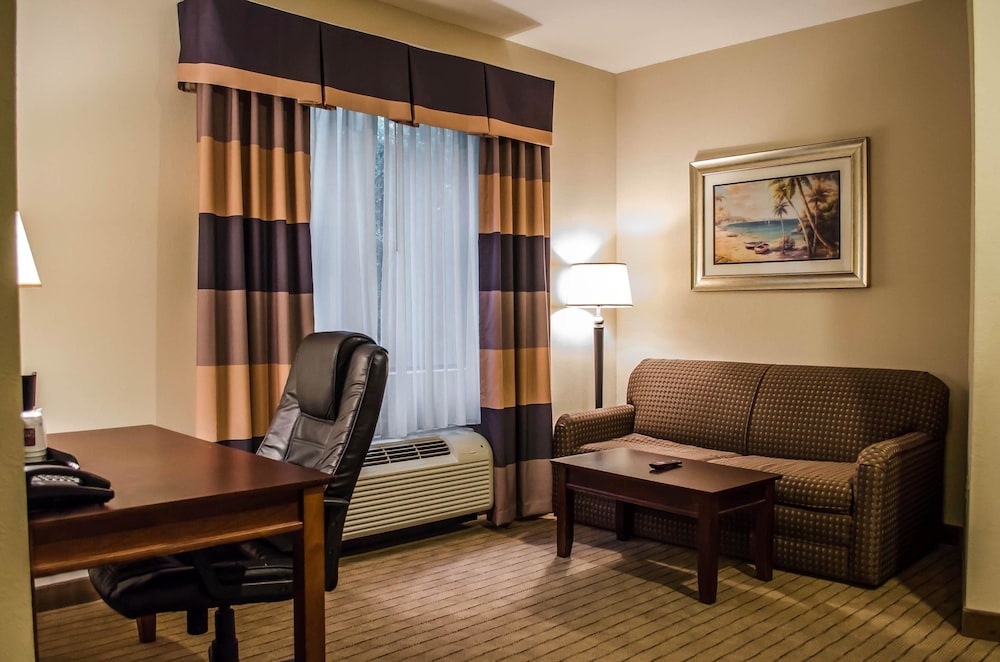 Comfort Suites Mobile West Tillmans Corner 21/40