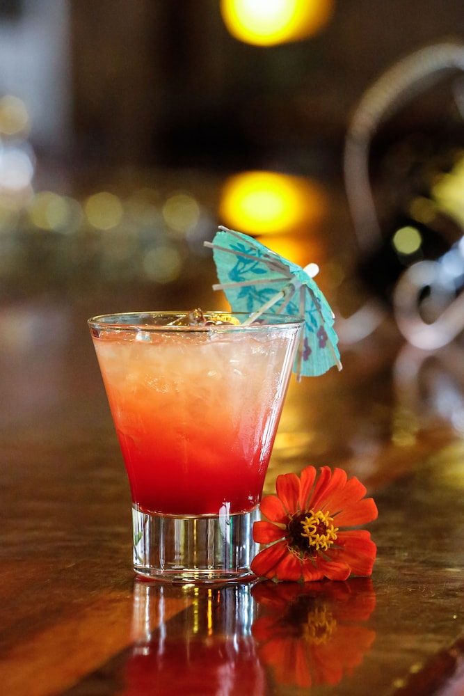 Maun旅馆(Maun Lodge) 图片5