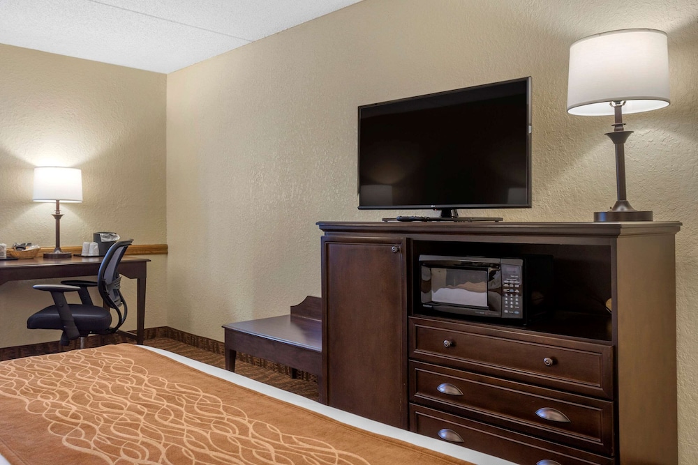 Comfort Inn at Thousand Hills 21/39