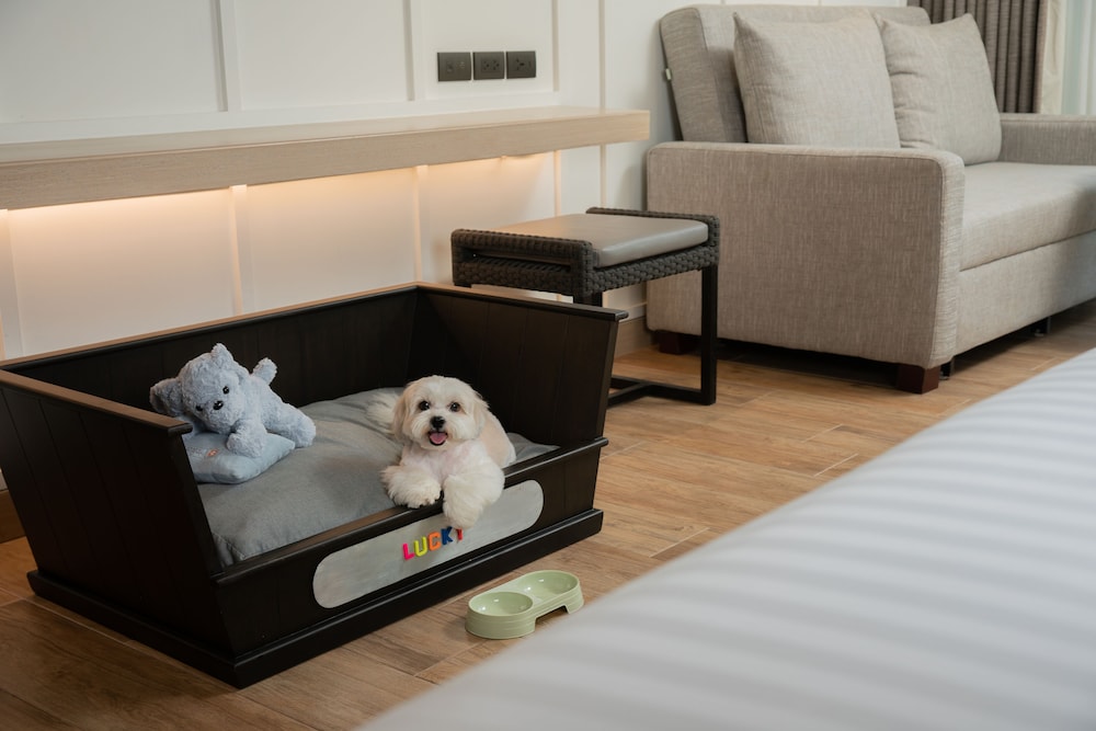 Hyatt Regency Hua Hin 47/77