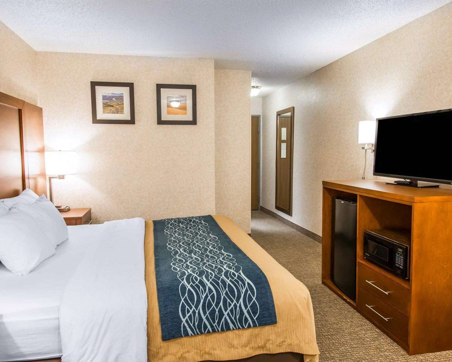 Room, King Bed