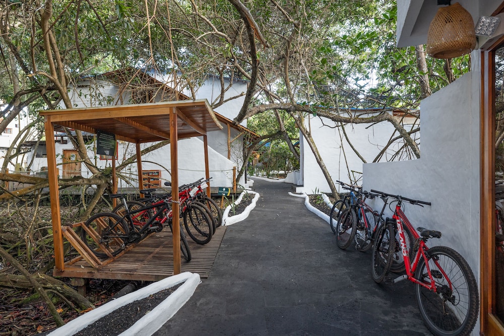 Red Mangrove Aventura Lodge 68/77
