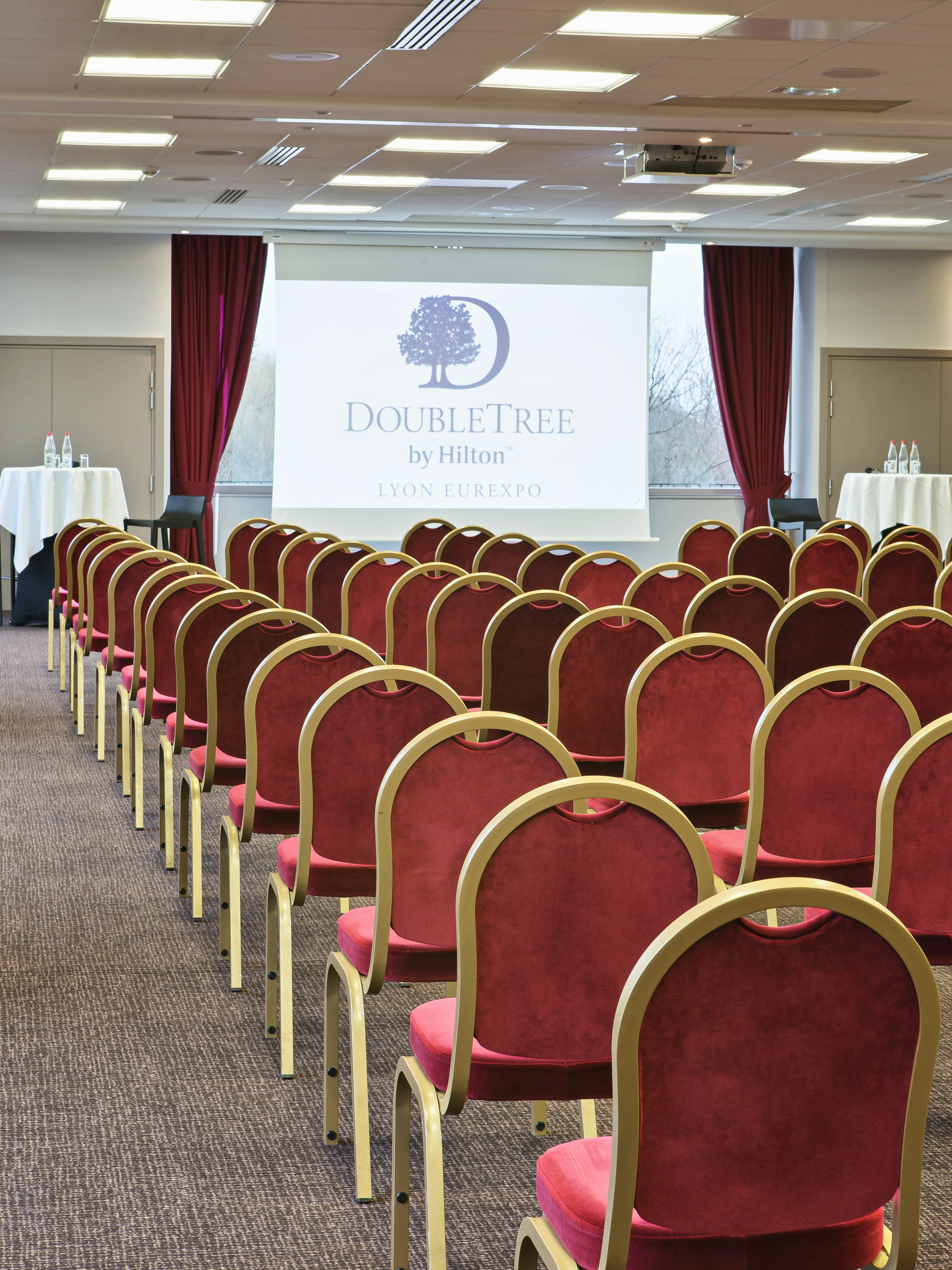 DoubleTree by Hilton Lyon Eurexpo 36/50