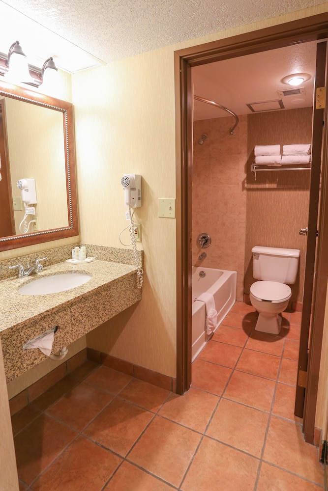 Comfort Inn Near Vail Beaver Creek 18/39