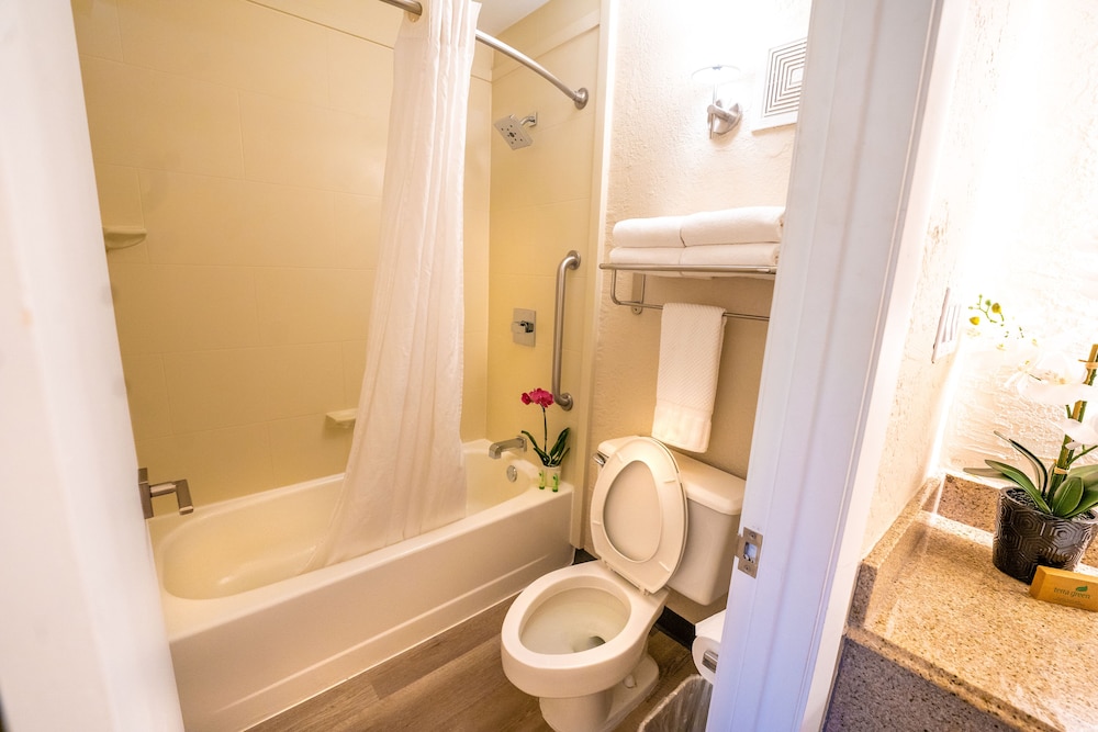 Mai Hana Hotel and Suites International Drive 55/55