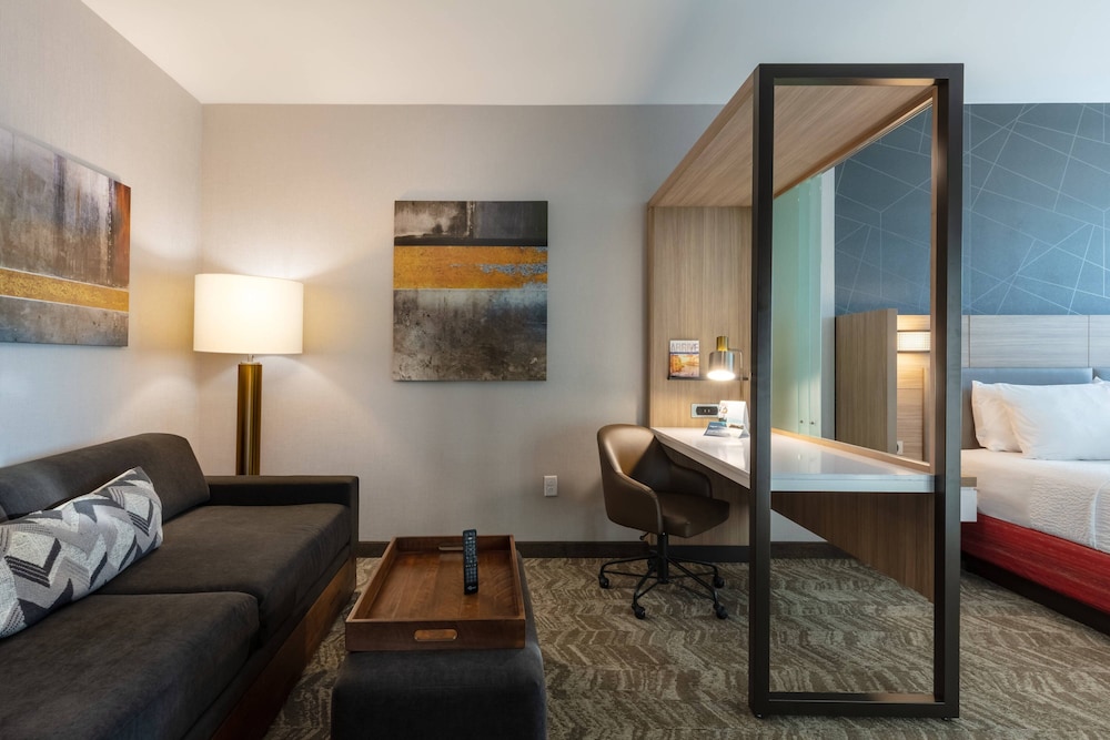 SpringHill Suites by Marriott Chattanooga South/Ringgold, GA 22/33