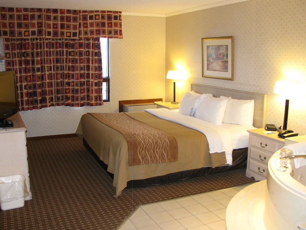 Comfort Inn Cornwall, ON 15/41