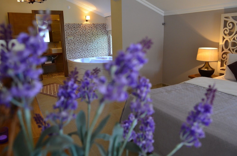 Sweet Home River Hotel 24/50