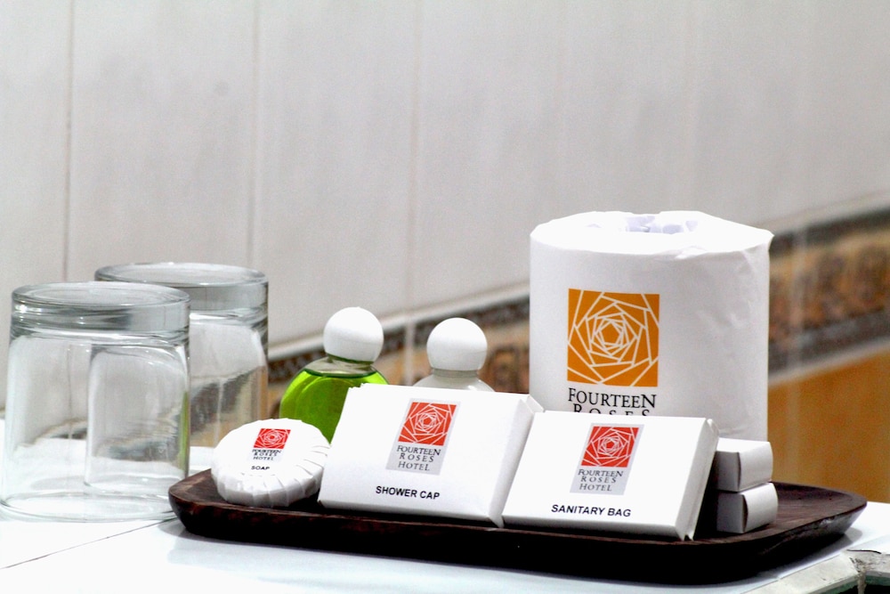Fourteen Roses Boutique Hotel and Spa 29/61