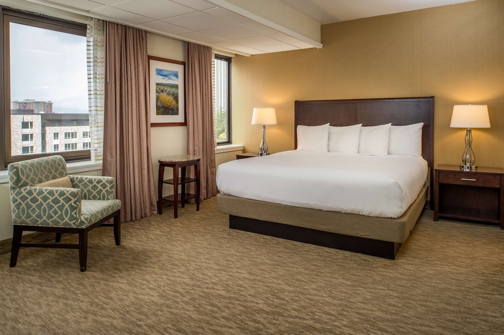 Suite, King Bed