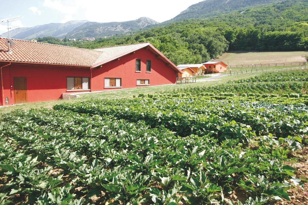 Fattoria Antica Forconia 19/24