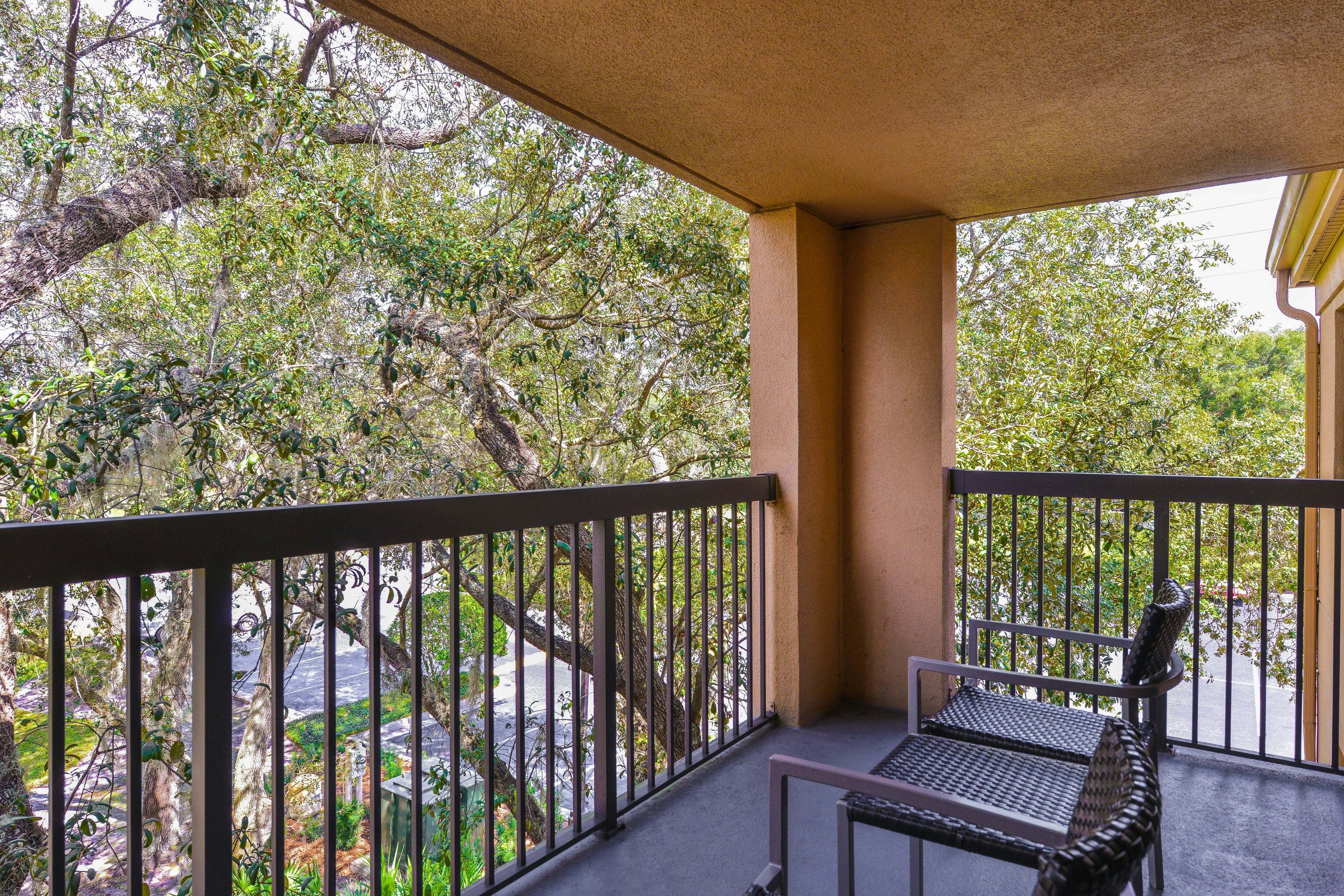 Courtyard by Marriott Tampa North/I-75 Fletcher 15/16
