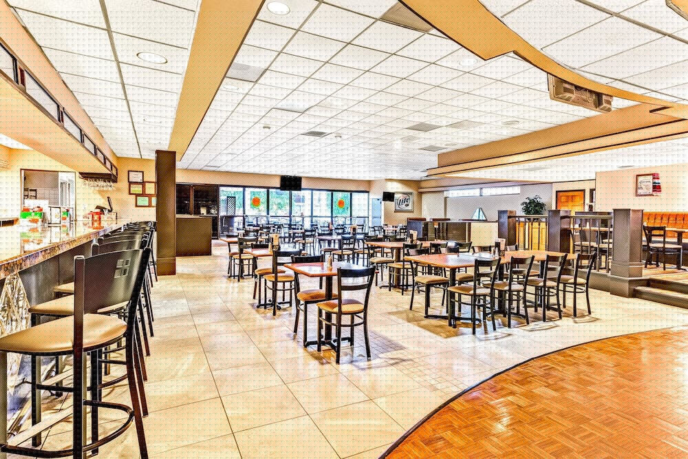 Wyndham Garden Romulus Detroit Metro Airport 27/40