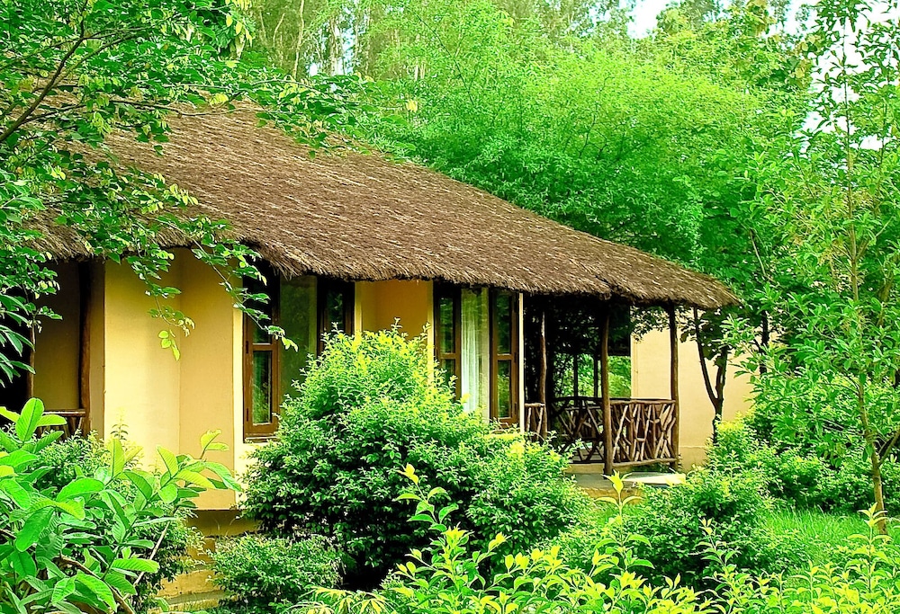 JIMS JUNGLE RETREAT 3/50