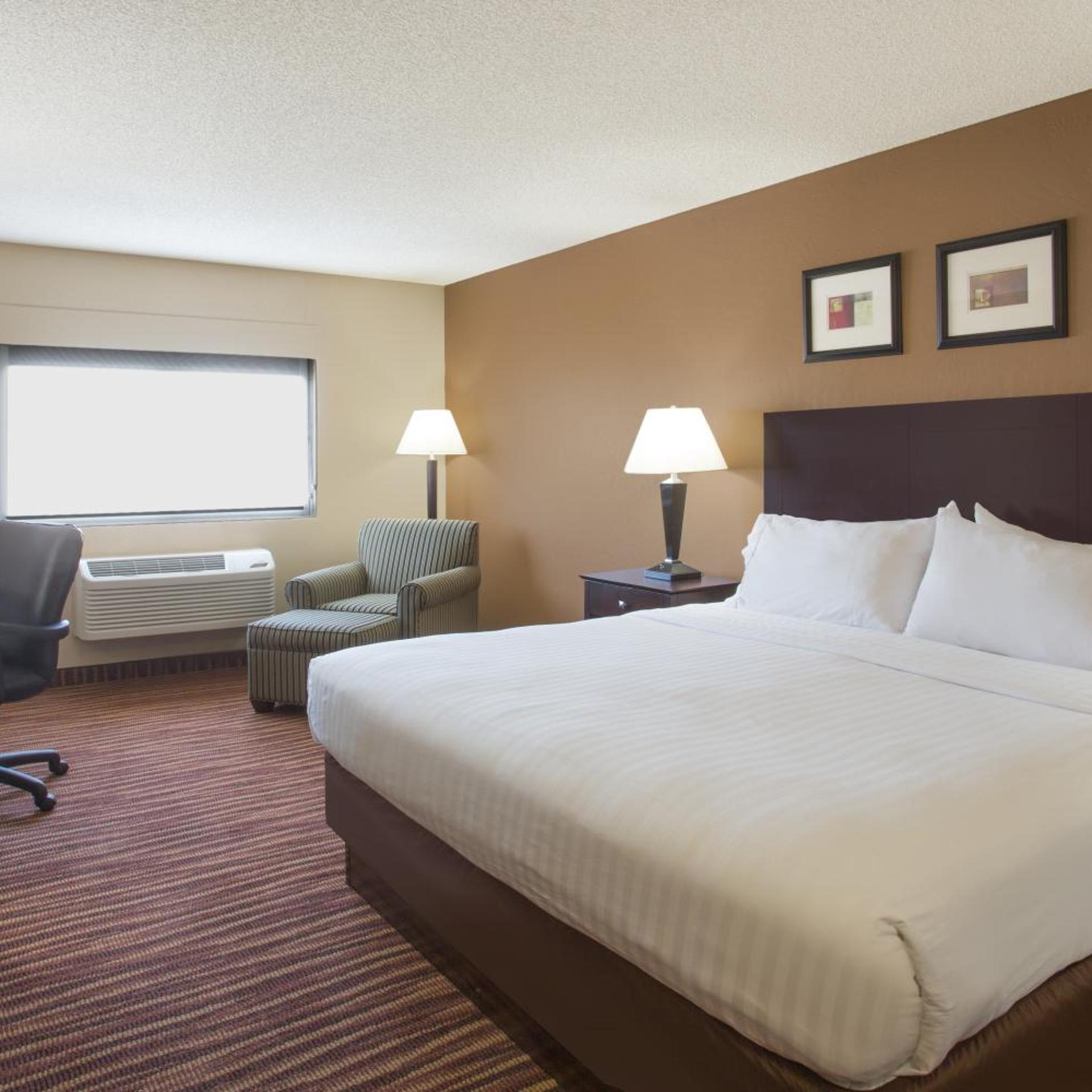 Room, King Bed