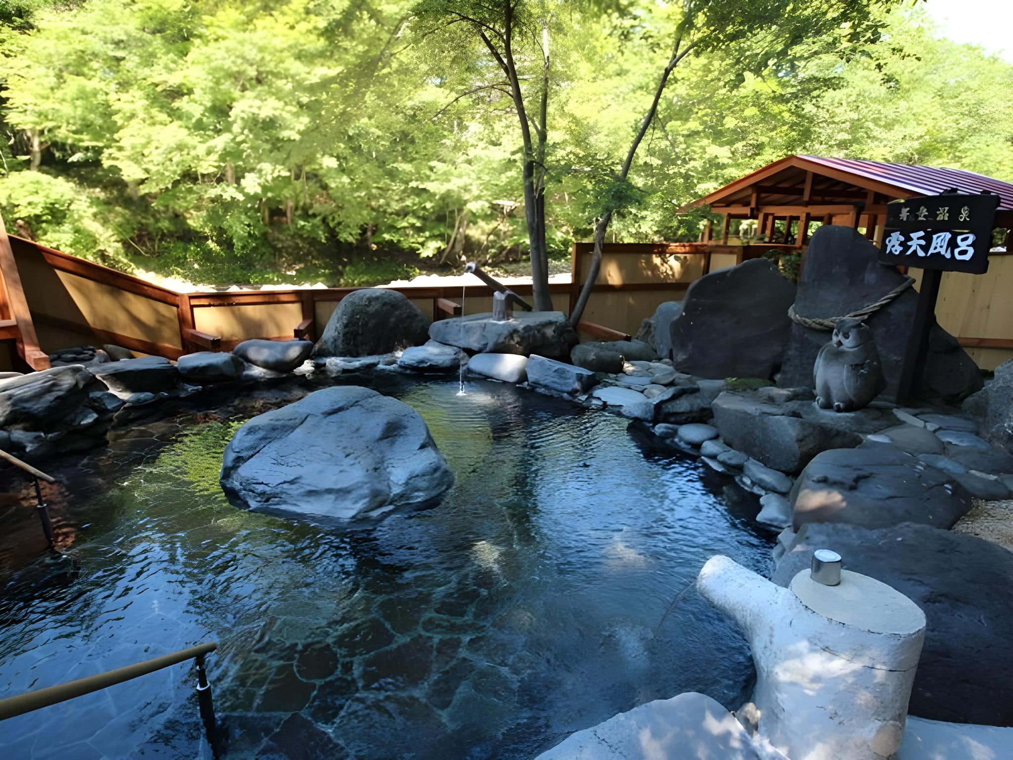 Metou Onsen Hotel 19/48