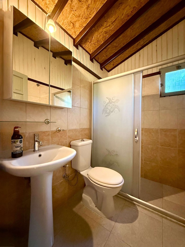 Caretta Caretta Pension 43/43