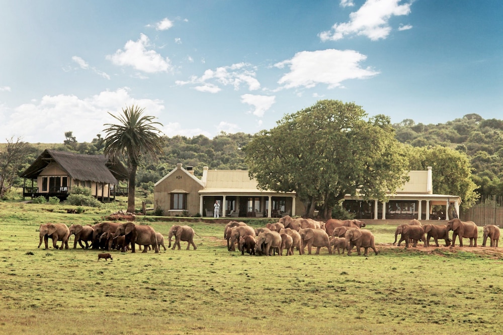 Gorah Elephant Camp 33/50