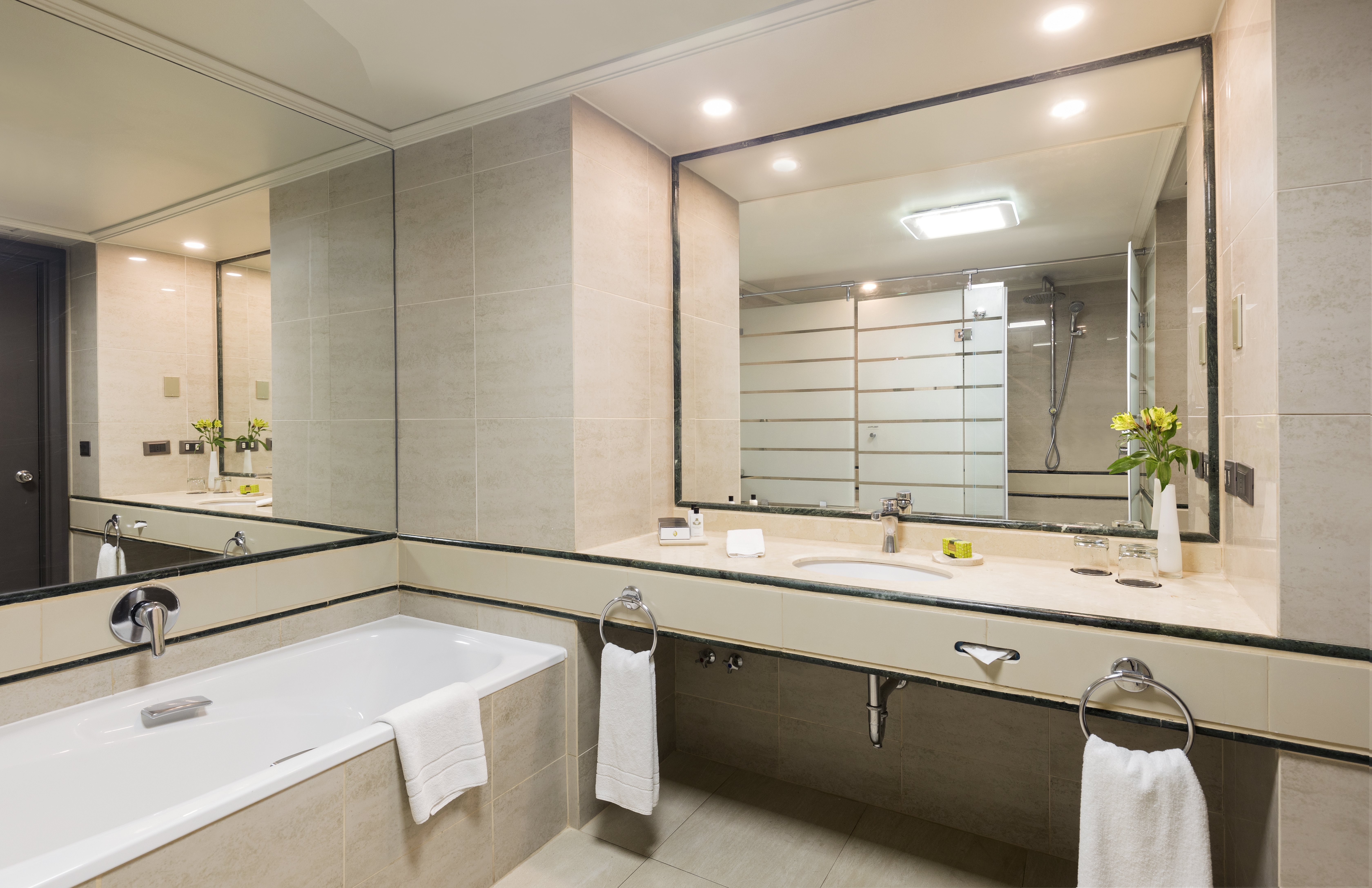 Deluxe, Twin Beds, Intercontinental Santiago 6/7