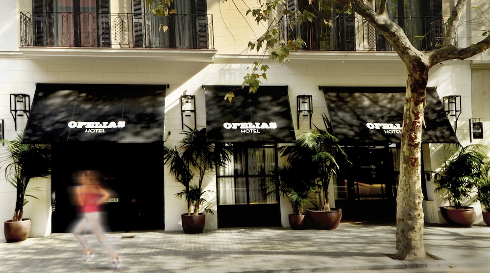 Ofelias Hotel 10/56