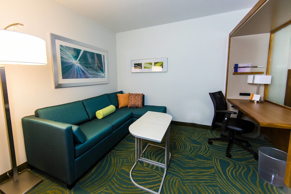 SpringHill Suites Lumberton 38/59
