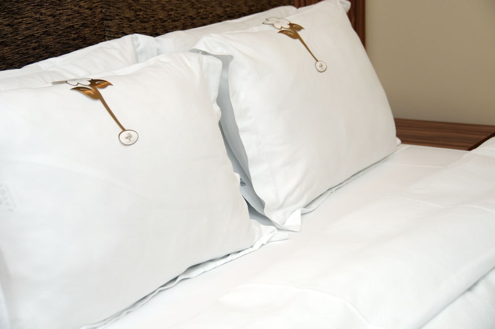 Tehran Boutique Hotel 20/48