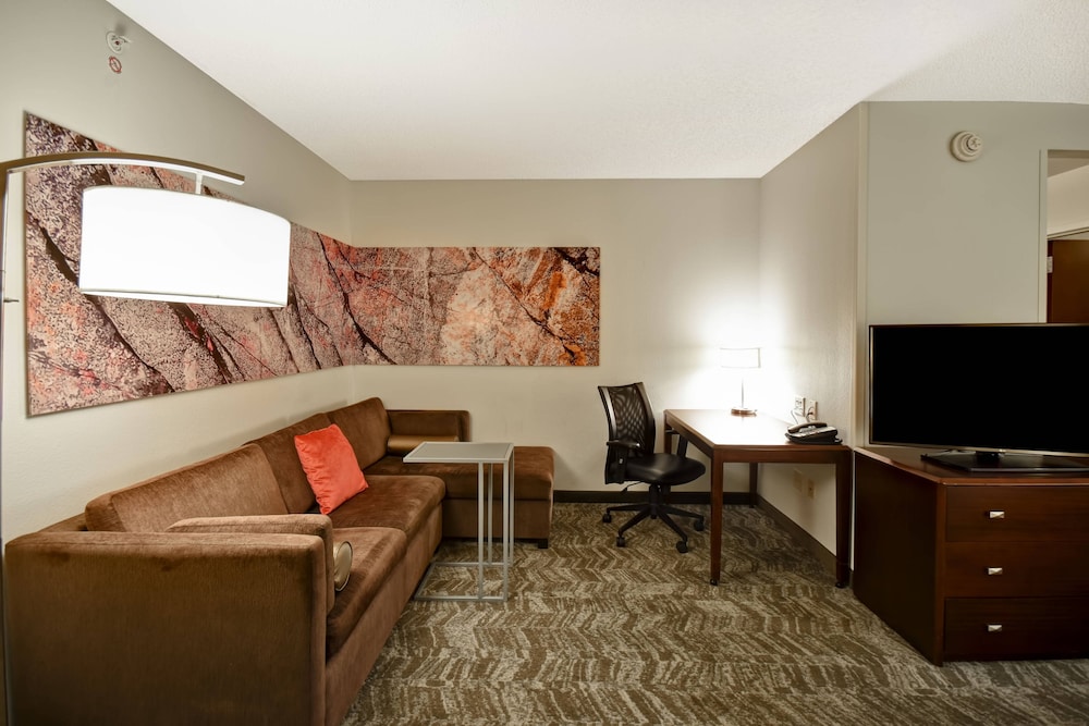 Springhill Suites by Marriott Louisville Airport 31/48