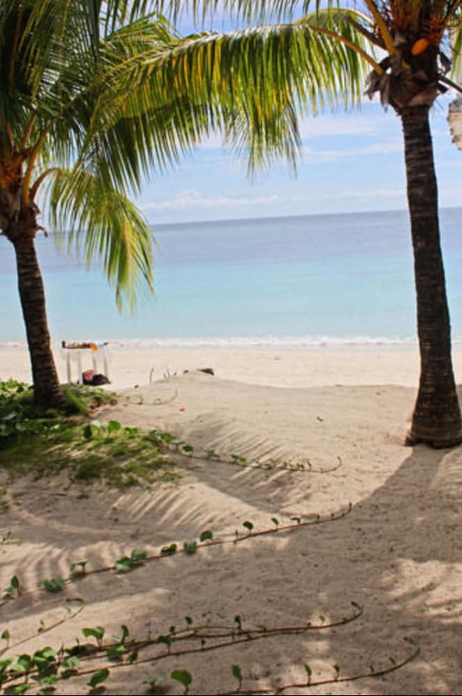Coconut Tree West Bay 67/70
