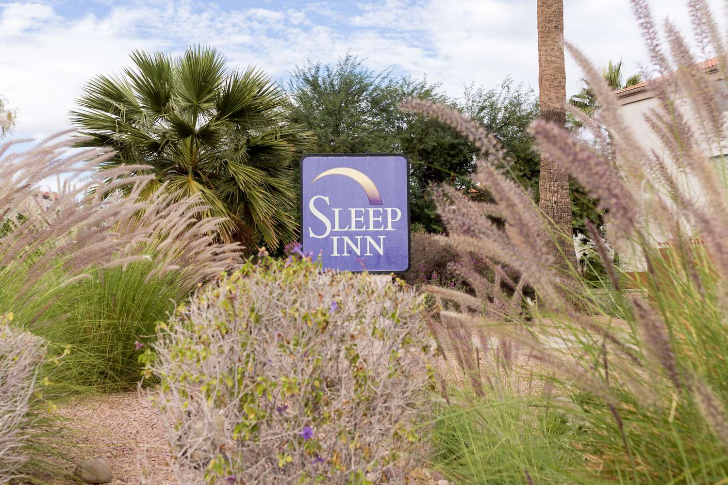 Phoenix Sky Harbor Airport AZ 26/26