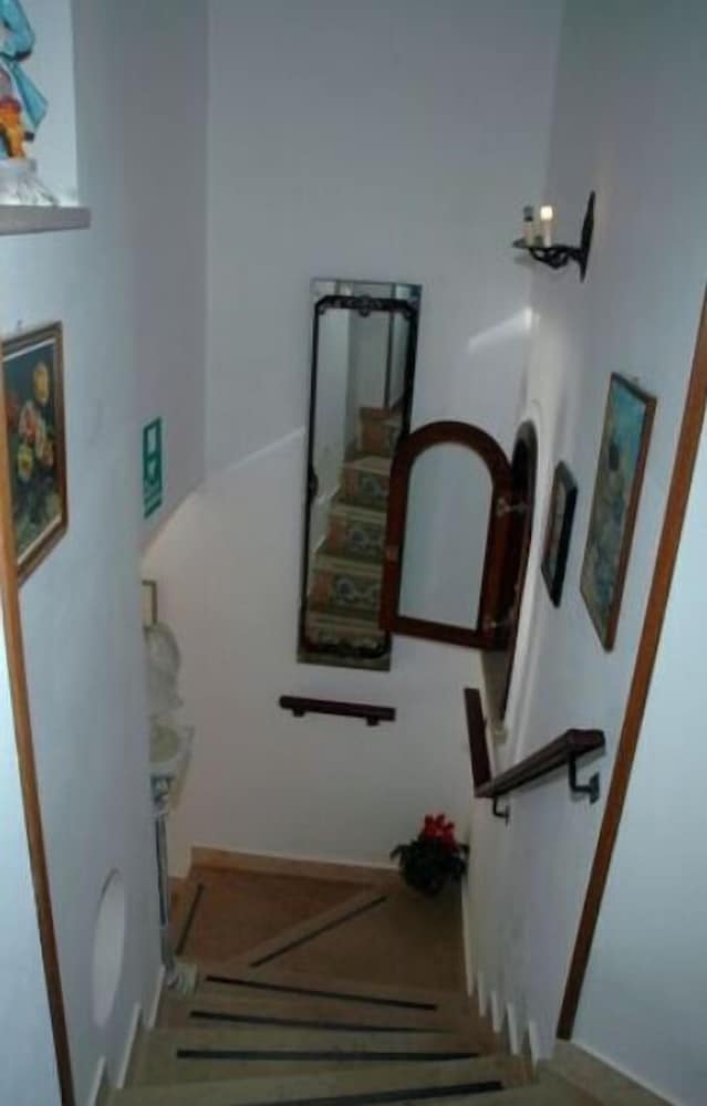 L Argine Fiorito 26/38