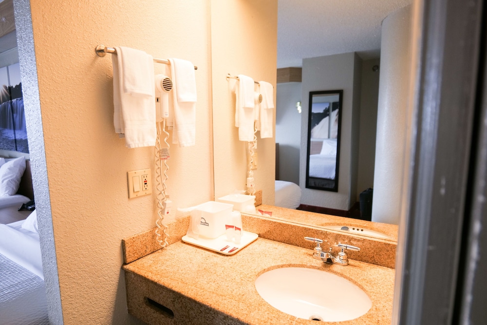 Days Inn By Wyndham Flint/Bishop International Airport 38/41
