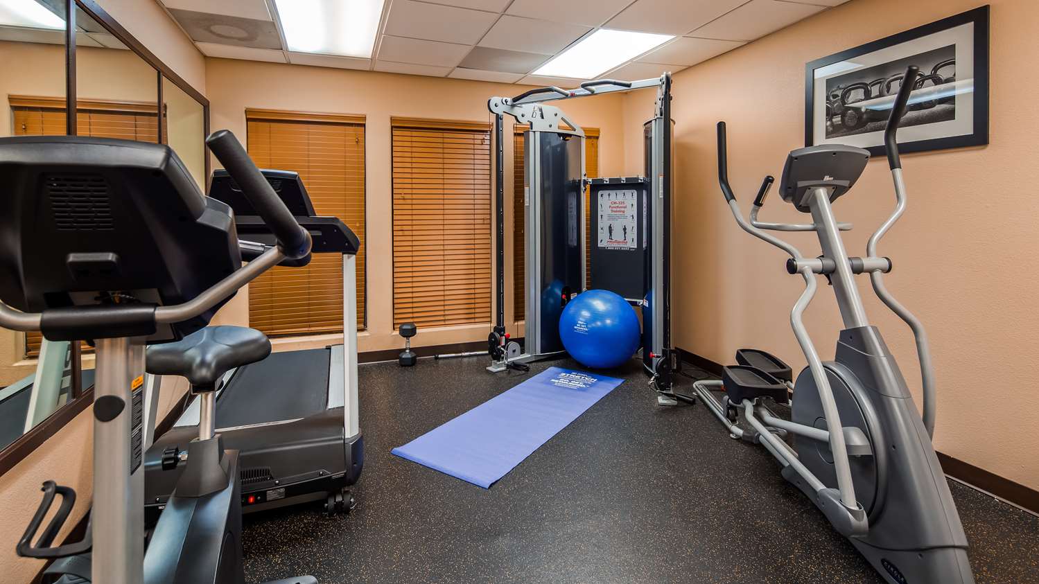 Best Western Plus The Woodlands 15/31