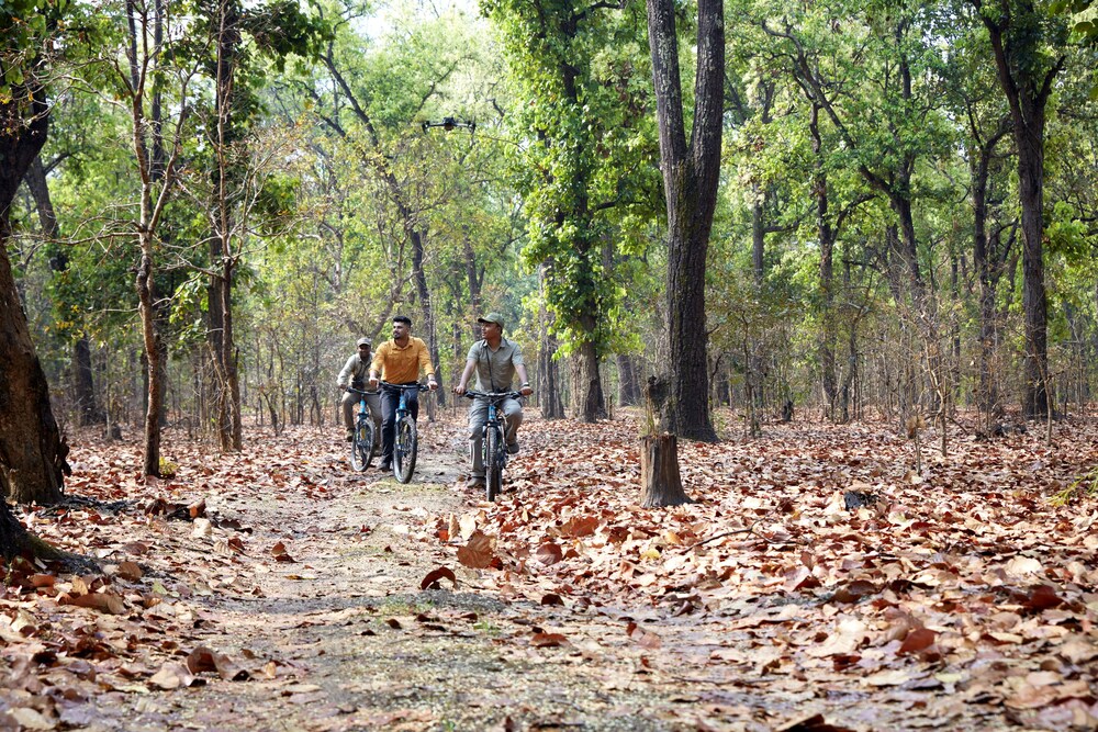 Tathastu Kanha 67/74