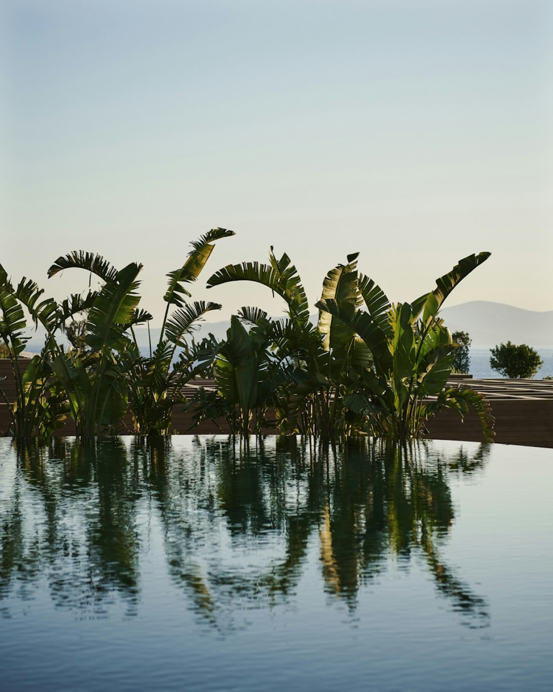 Maxx Royal Bodrum 49/53