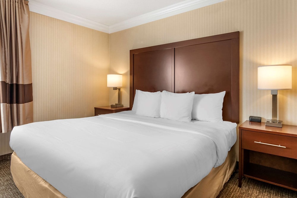 SUITE, KING BED