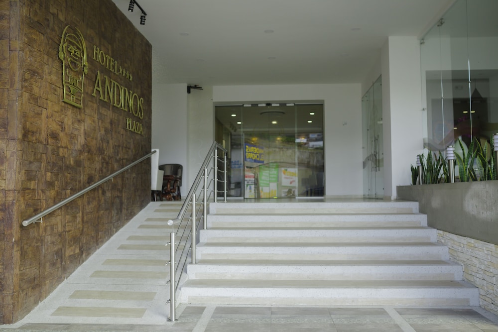 Hotel Andinos Plaza 5/48