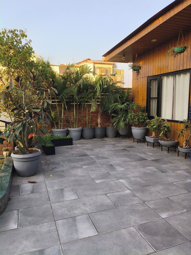 Hotel Vandana S Bed And Breakfast 38/50
